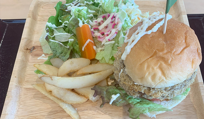 ブログ「シイタケ克服」の写真