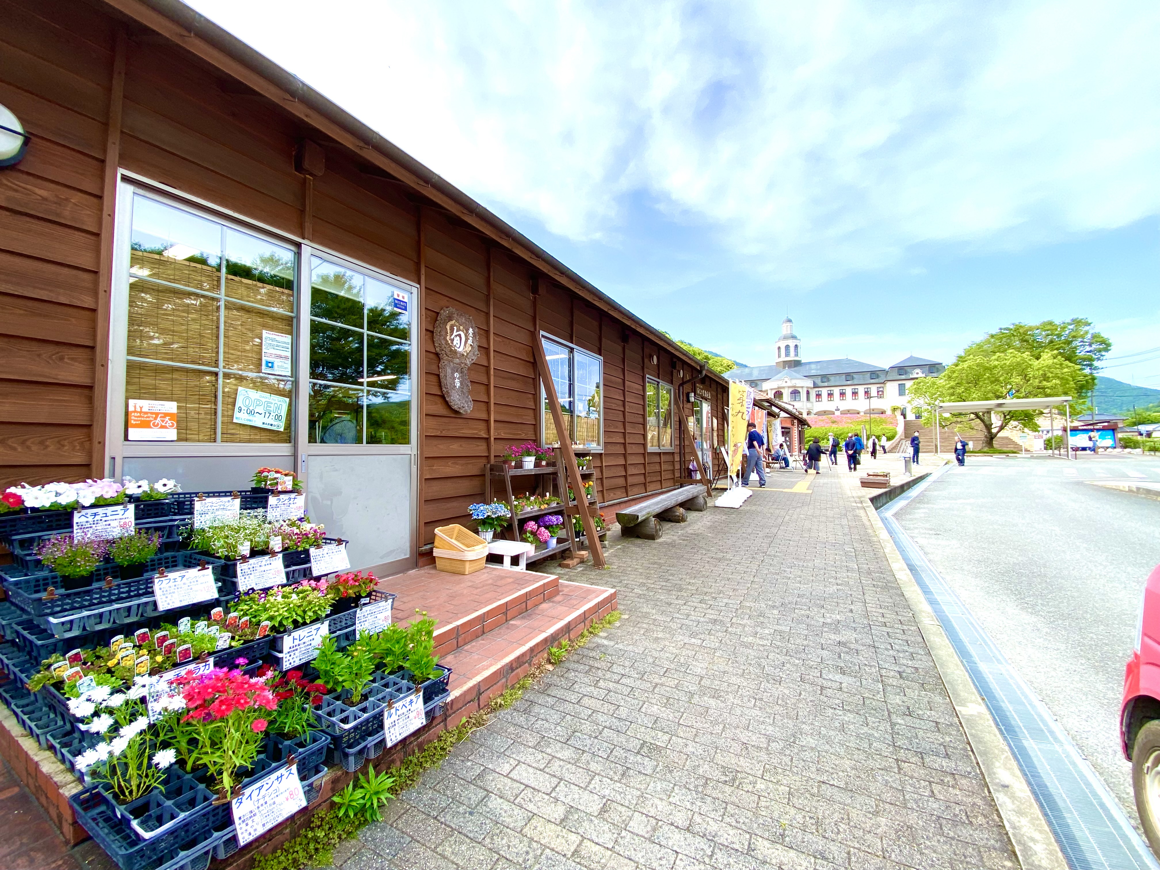 ブログ記事の画像