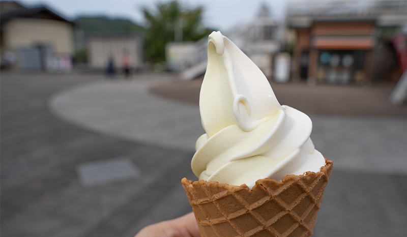 ブログ記事の画像