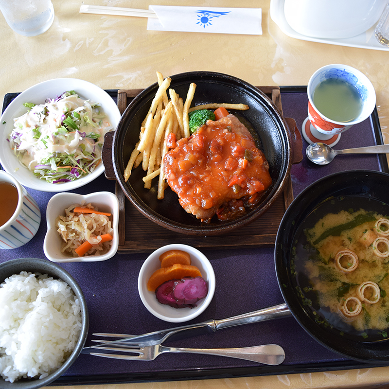 阿波尾鶏サルサ定食の写真