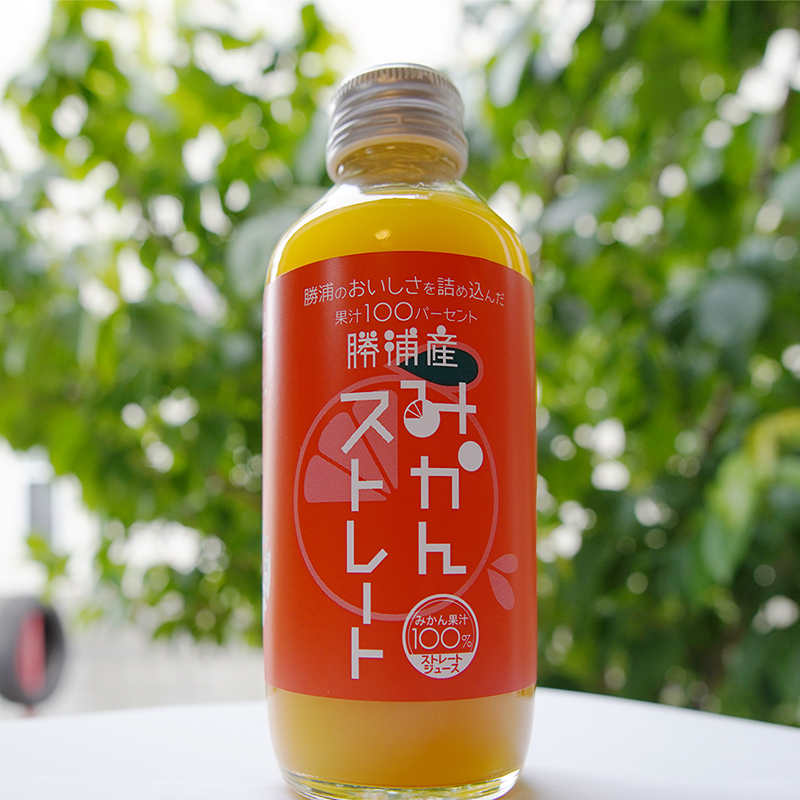 勝浦産みかんストレートの写真