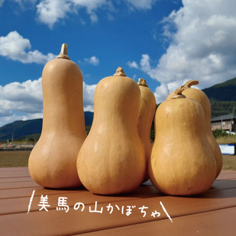 美馬の山かぼちゃペーストの写真